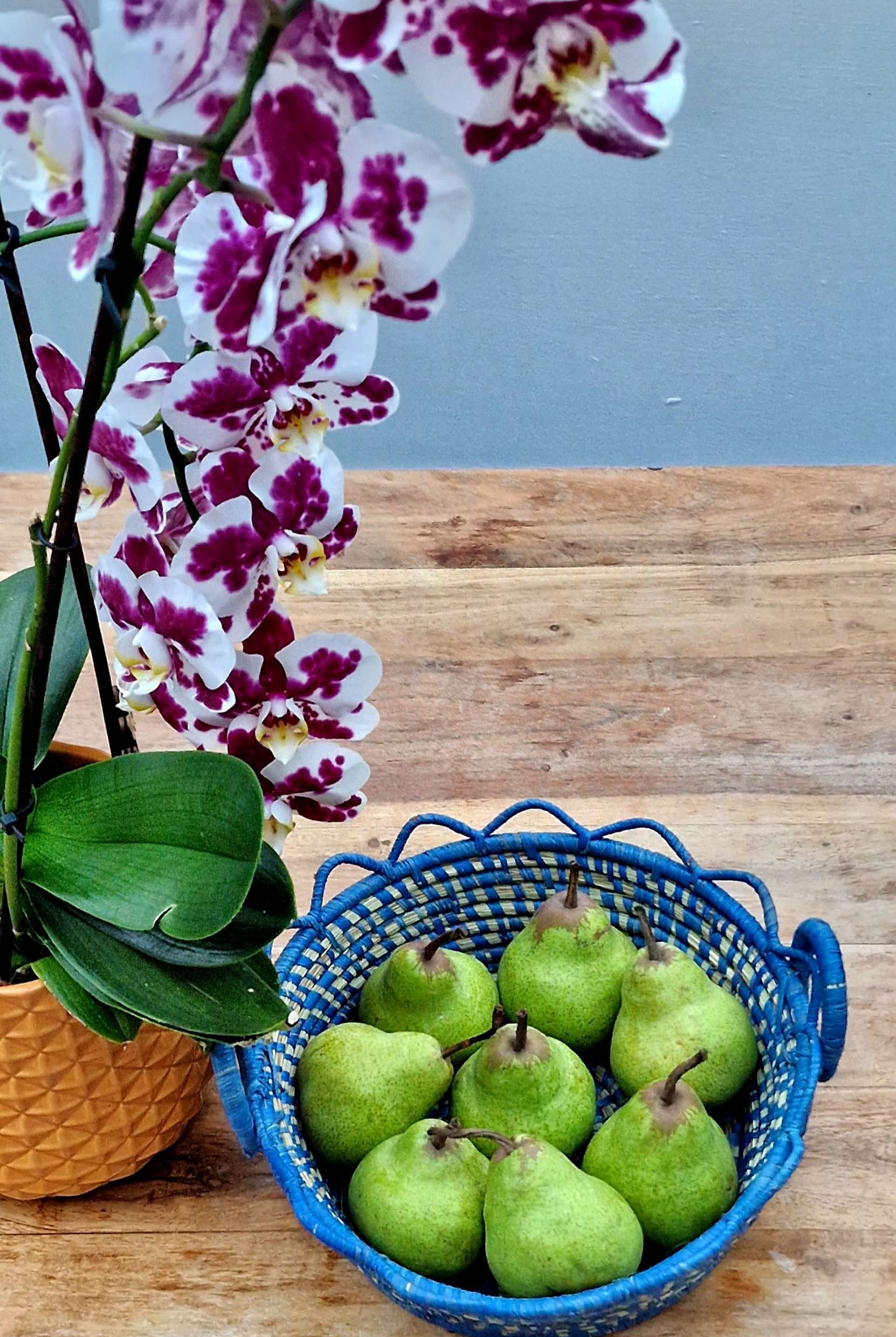 Fruit/decor basket  image 4