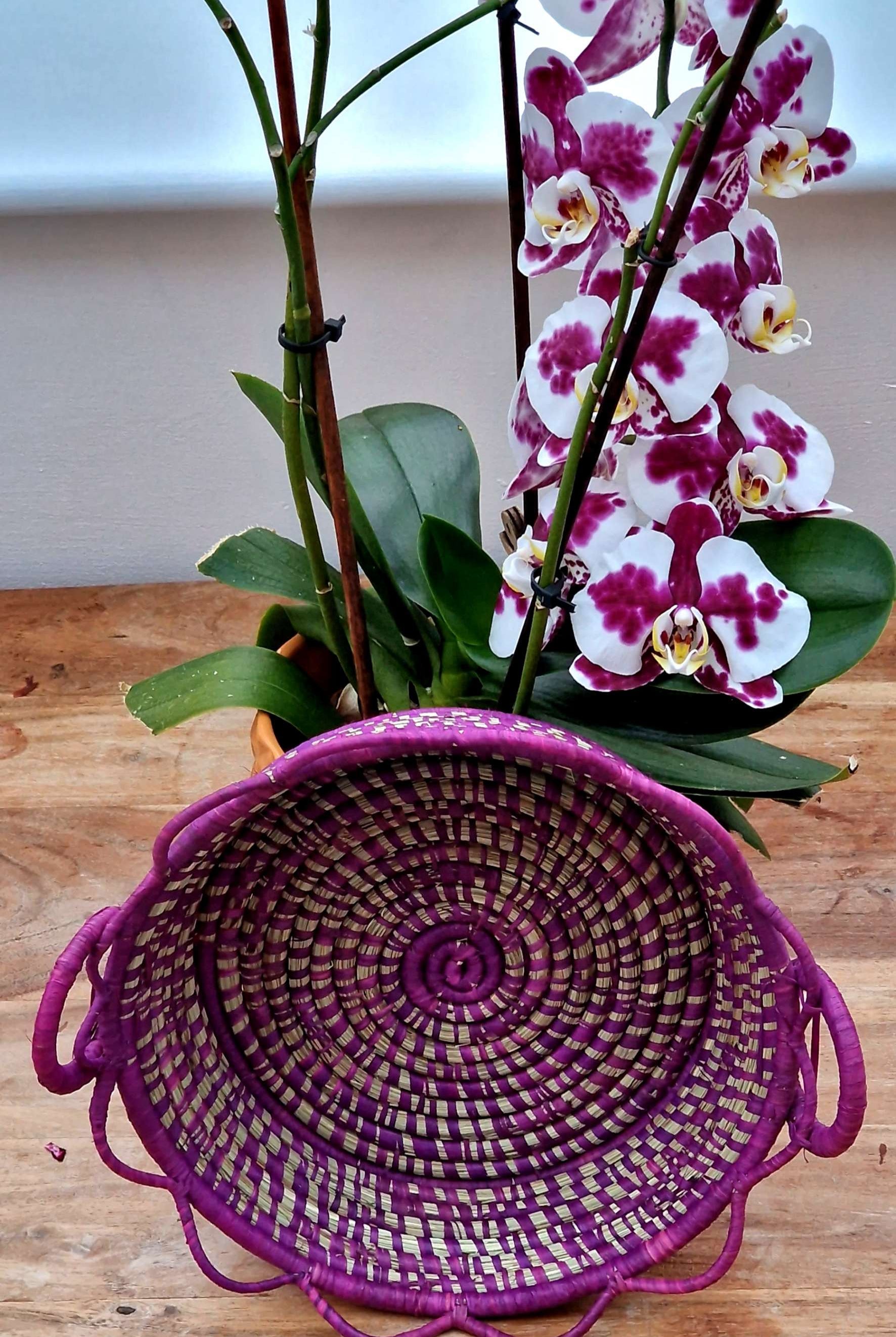 Fruit/decor basket  image 5