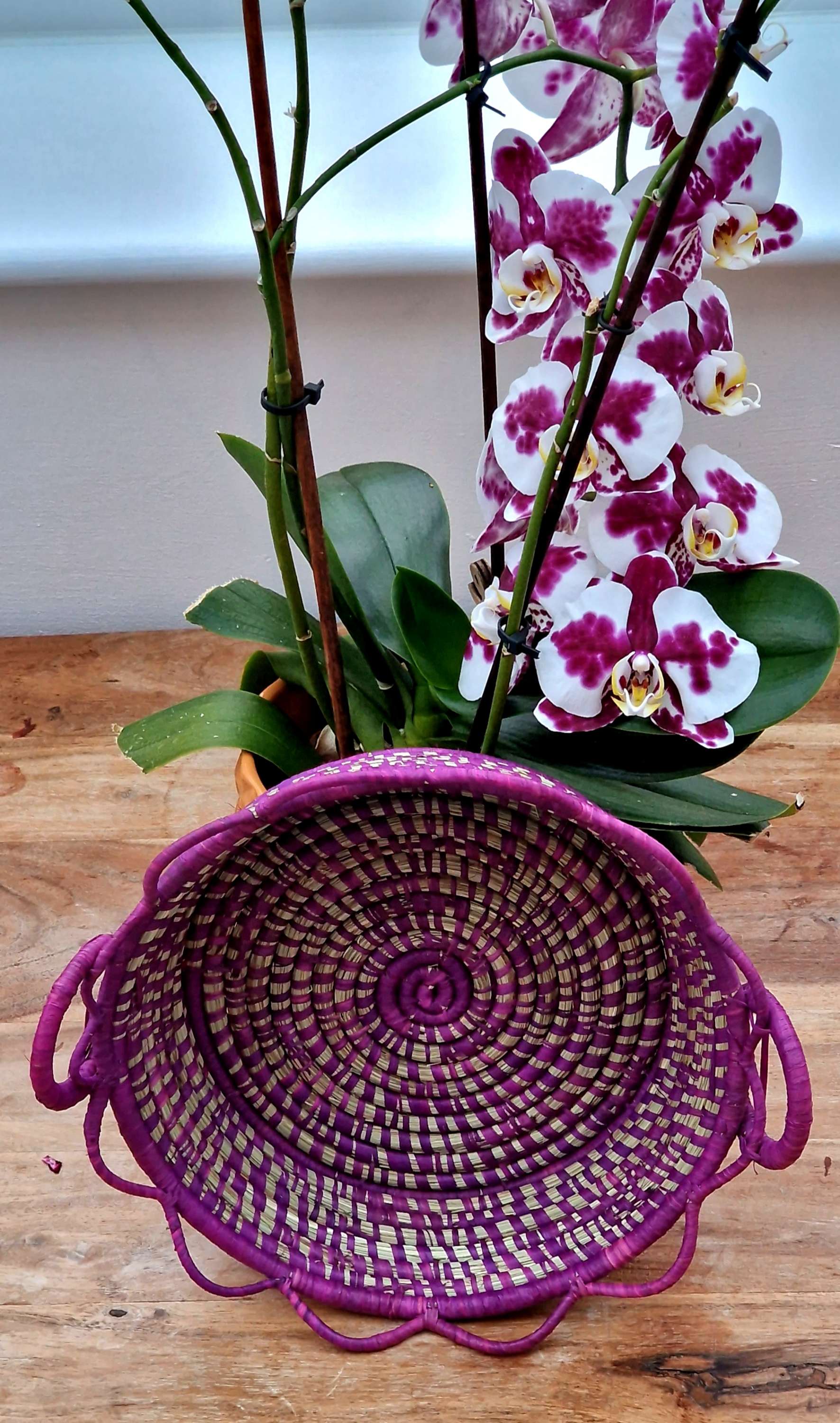 Fruit/decor basket image 5