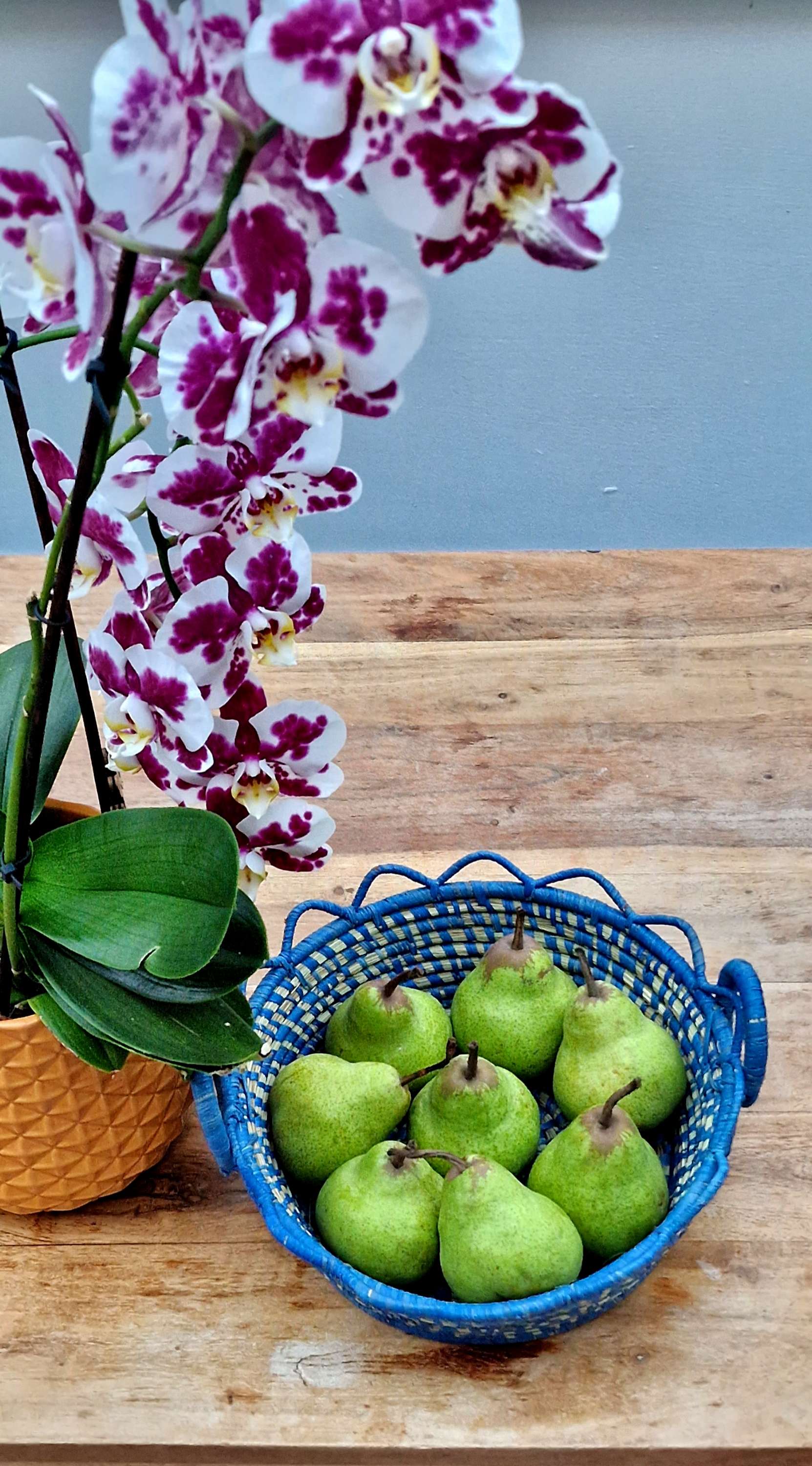 Fruit/decor basket  image 4